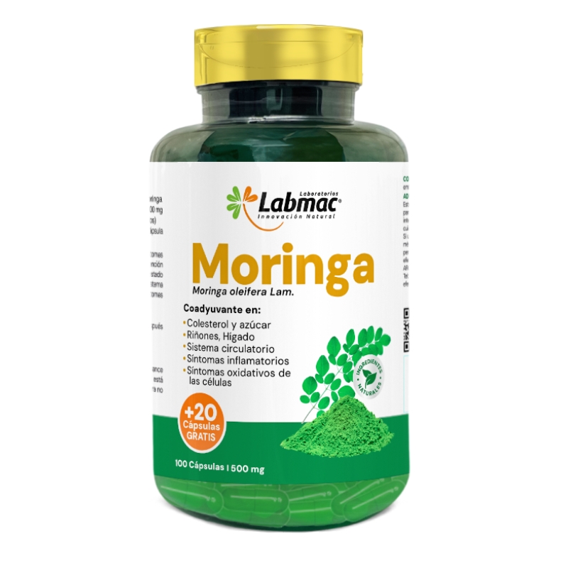MORINGA CAPSULAS 500 mg ENVASE X 120